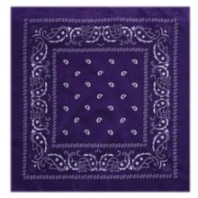 Load image into Gallery viewer, outdoor Bandana Square Scarf 55cm*55cm Black Red Paisley Headband Printed For Women/Men/Boys/Girls
